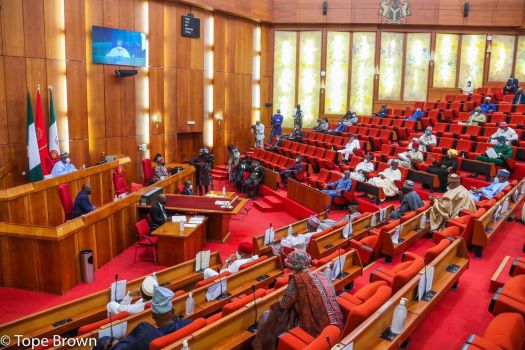 Constitutional Reforms: Senate Considers Creation of 31 States, Full LG Autonomy