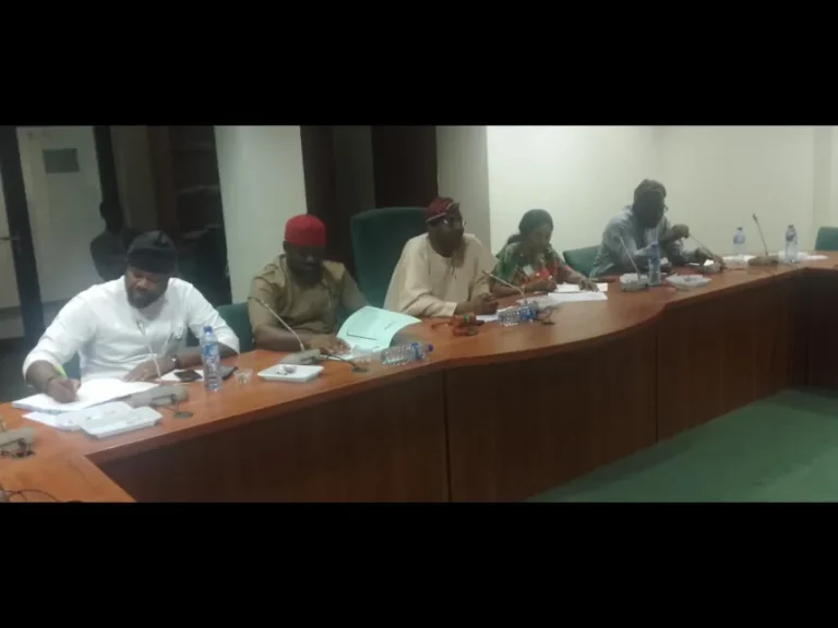 Reps Panel: Why Bar Exam Results Are Withheld —Nigerian Law School DG