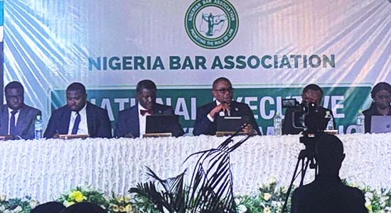 NBA President Osigwe Announces Seven-Member Committee Led By Ananaba SAN To Conduct SPIDEL Elections