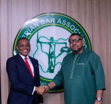 NBA, NDI Forge Alliance for Electoral Reform in Nigeria
