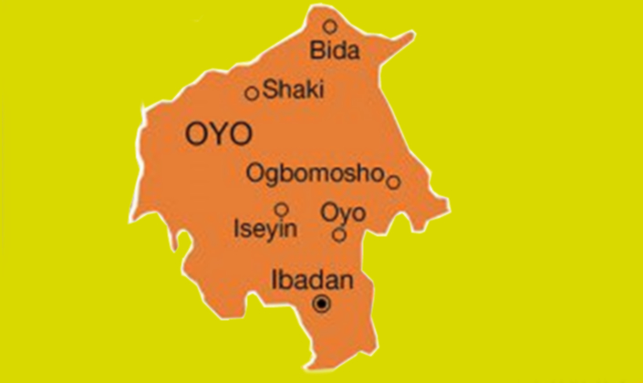 Oyo Enforces Anti-Open Grazing Law, Arrests 58 Cows